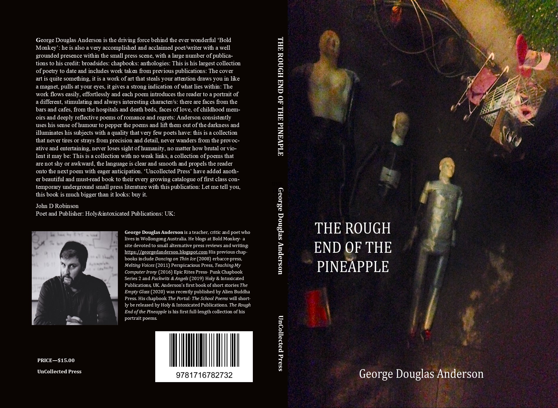 George Anderson The Rough End of The Pineapple UCP COVER 20200716 001